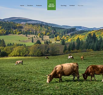 ecobeef.jpg